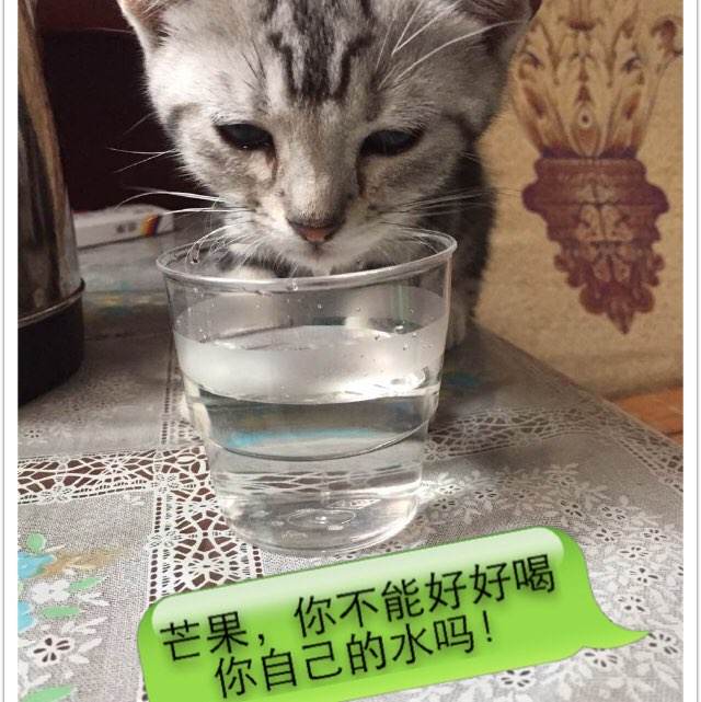存款证明怎么买高仿